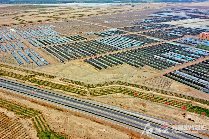 莎車縣戈壁產業園里，3000座溫室大棚成為荒灘上最具活力的地方。天山網-新疆日報記者 蔡增樂 攝